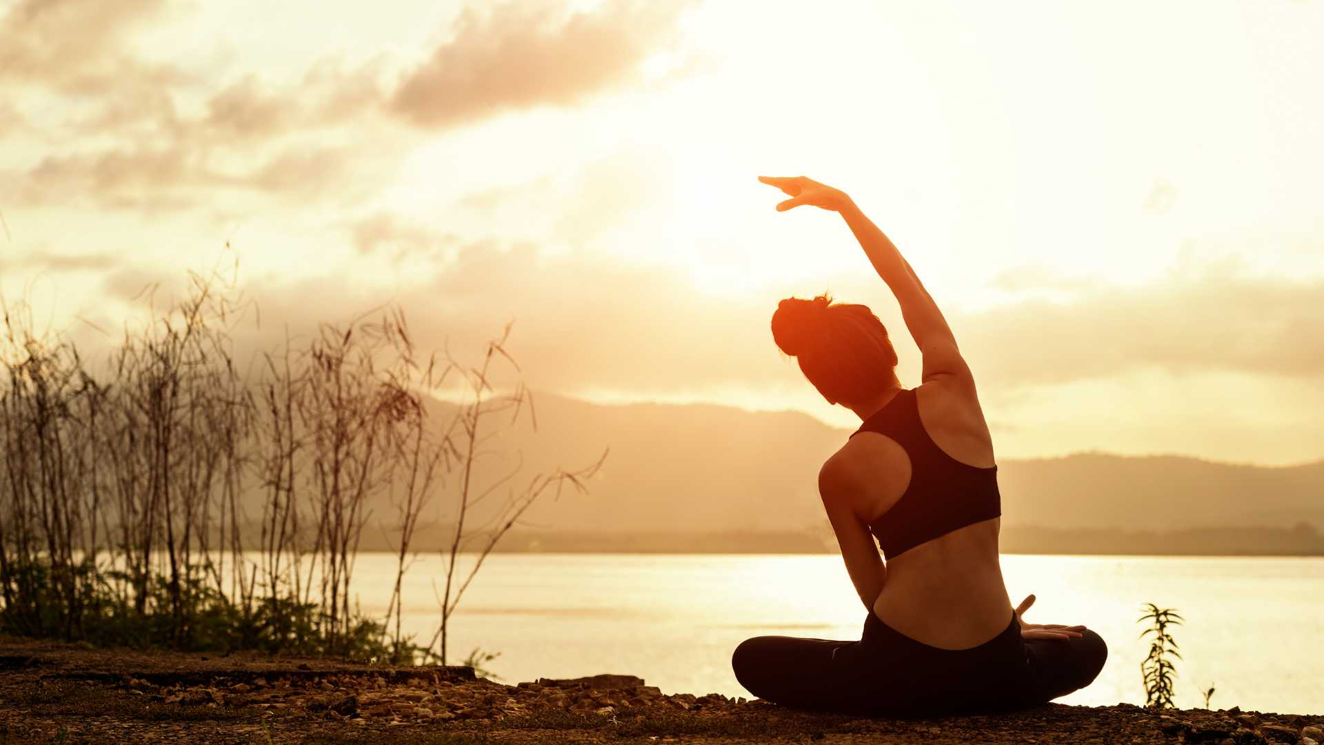 Why people select integrated wellness programs